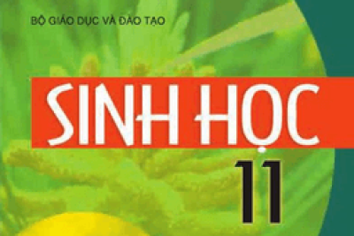 Chuyên đề sinh sản ở thực vật